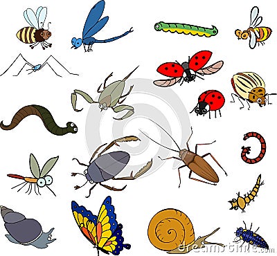 Set of cartoon invertebrate animals insects, worms and molluscs isolated on white Vector Illustration